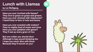 Lunch with Llamas activity